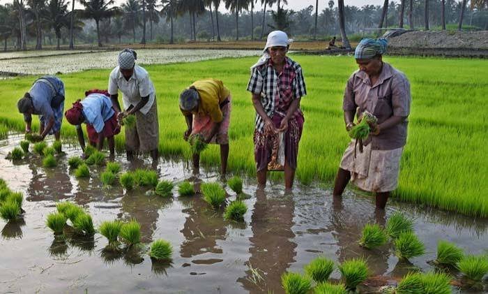 Agricultural Labour Matching