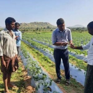 Agriculture & Farmer Services