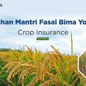 Crop Insurance