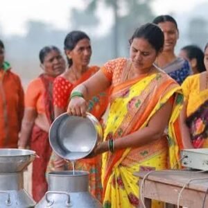 Dairy Cooperative Membership Assistance