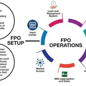 FPO Business Plan Preparation