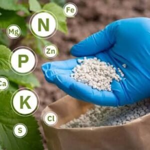 Fertilizer Requirement