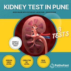 Kidney Function Test Booking