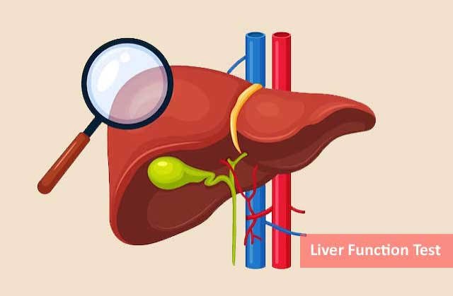 Liver Function Test Booking