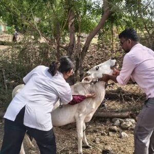 Livestock Vaccination Camp Booking