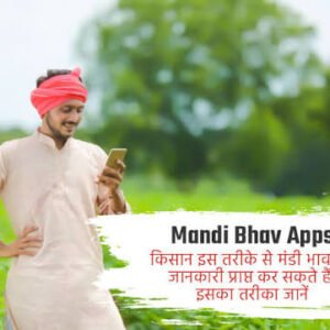 Mandi Price