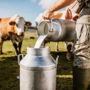 Milk Yield Improvement Consultation