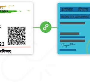 PAN-Aadhaar Link Assistance
