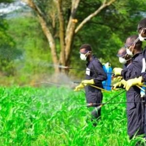 Pesticide Guidance