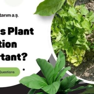 Plant Nutrition Advisory