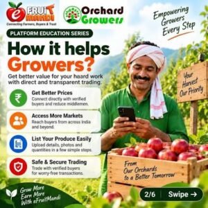 Produce Buyer Matching