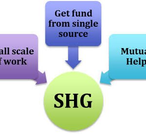 SHG Bookkeeping Support