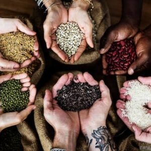 Seed Selection