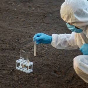 Soil Test