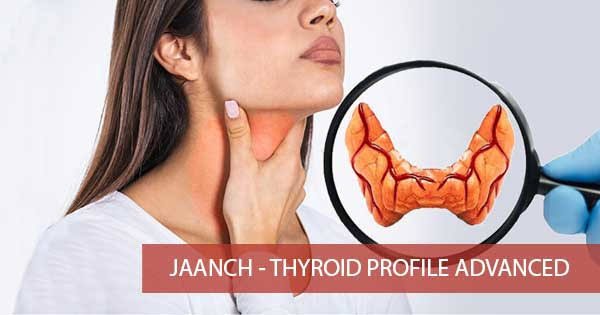 Thyroid Profile Booking