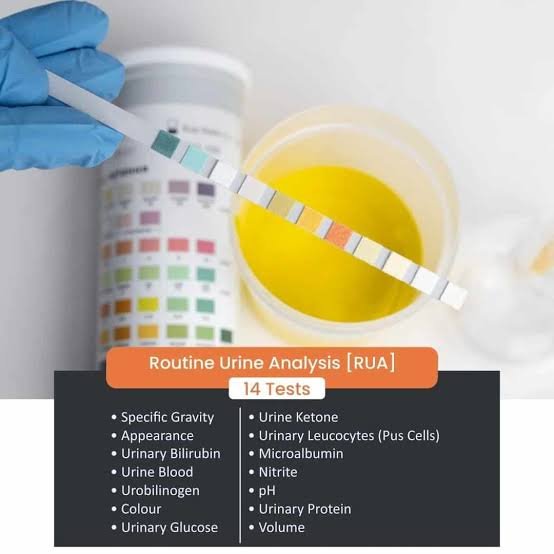 Urine Routine Test Booking