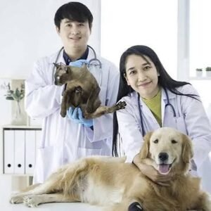 Veterinary Expert Consultation